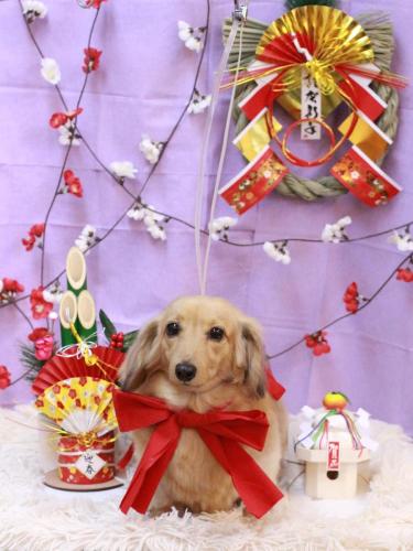 20230115モカちゃん